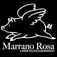 marano rosa a pink floyd happening